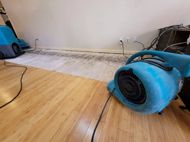 Professional Water Damage Repair technician working in Pevely, MO